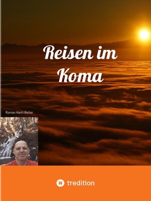 cover image of Reisen im Koma
